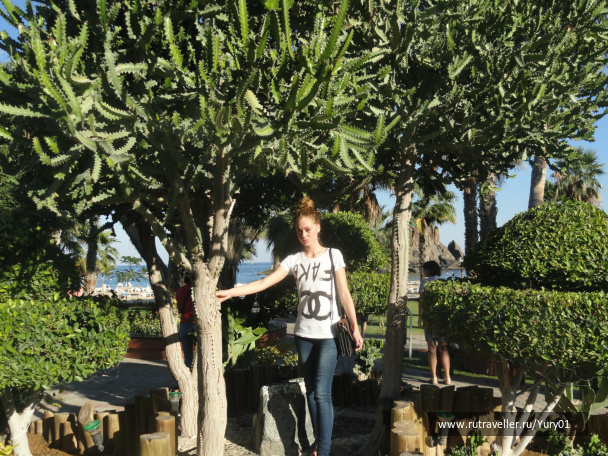 photo 462279
