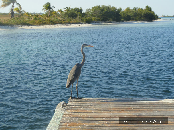 photo 464542