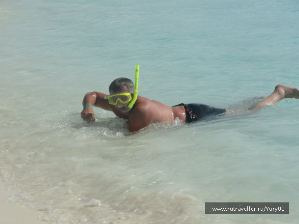 photo 464553