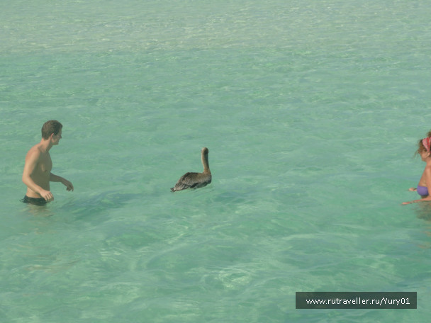 photo 464556