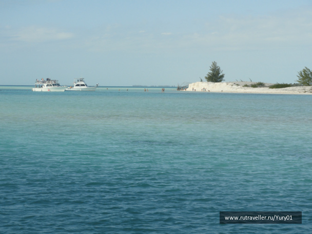 photo 464561