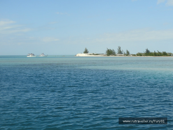 photo 464562