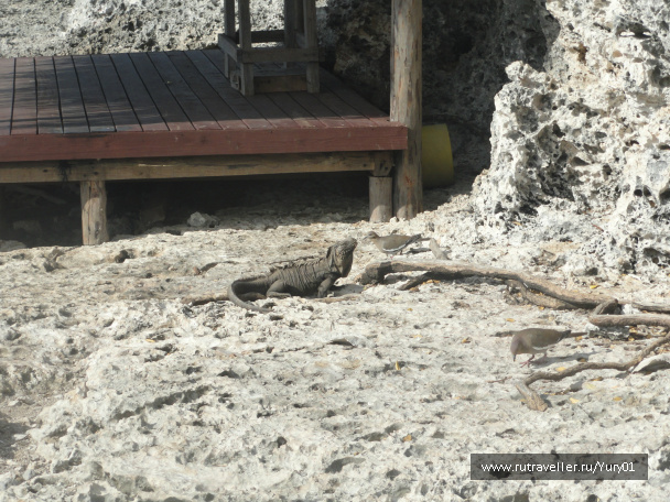 photo 464564