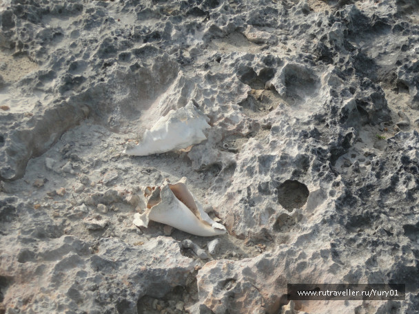 photo 464566