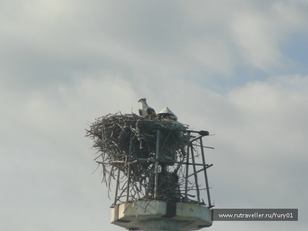 photo 464572