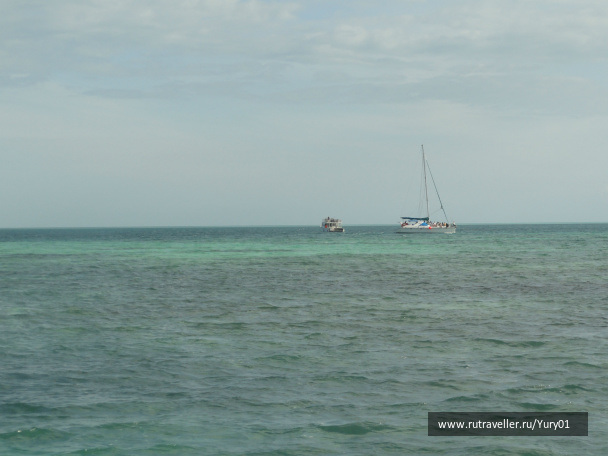 photo 464574