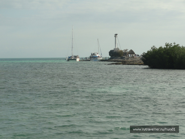 photo 464575