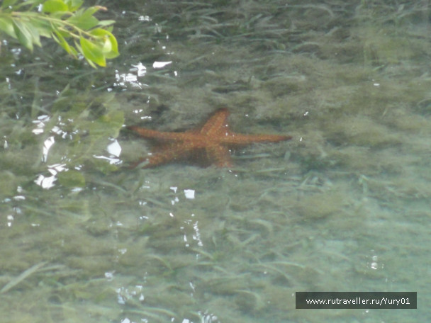 photo 464578