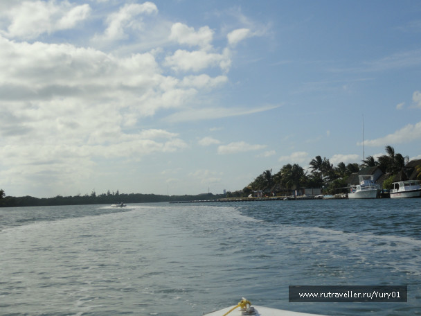 photo 456418