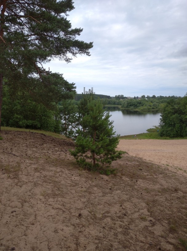 photo 1884493