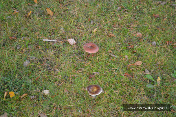 photo 1176883