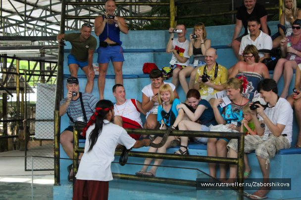photo 213961