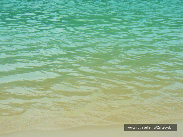photo 495920
