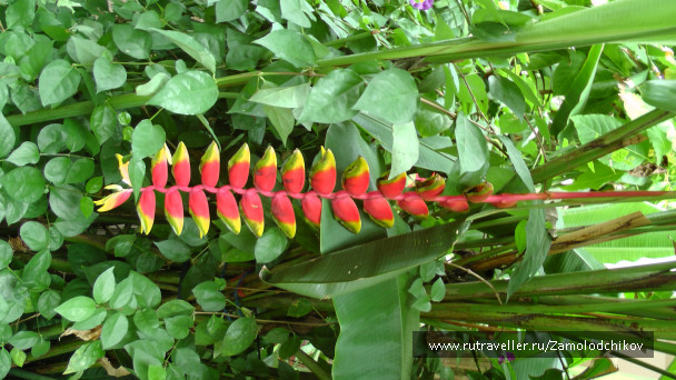 photo 413278
