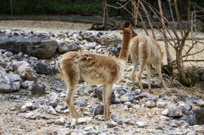 photo 565868