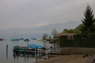 photo 565876