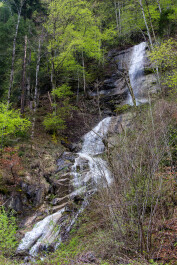 photo 565879