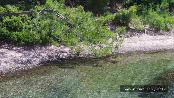 photo 853027