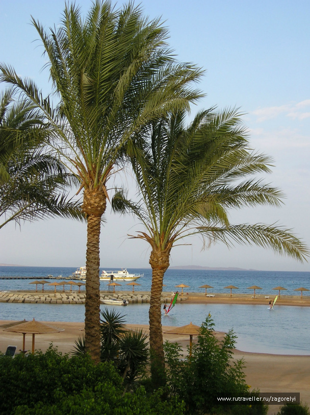 photo 44725