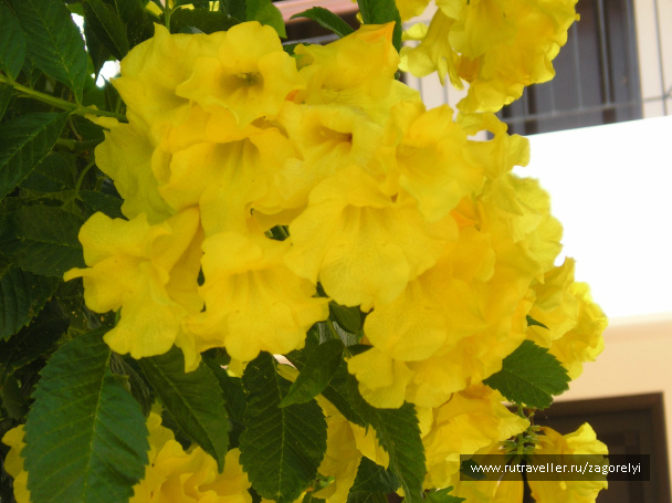 photo 44736
