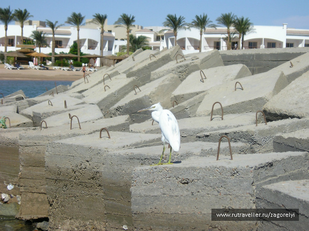photo 44744