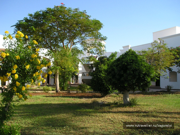 photo 44768