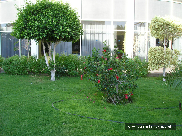 photo 44780