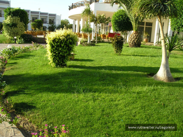 photo 44783