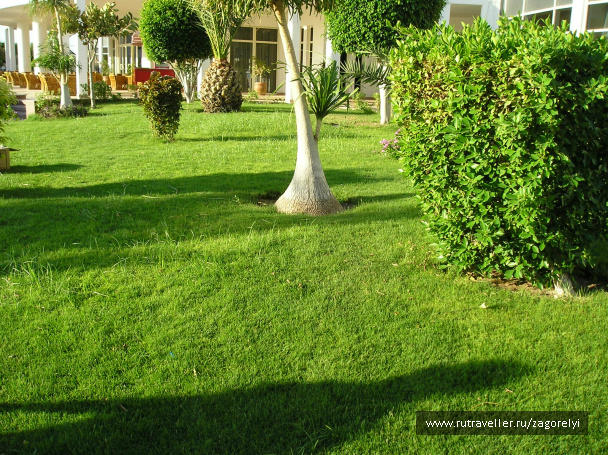 photo 44784