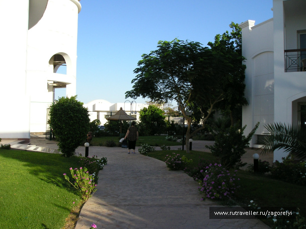 photo 44786