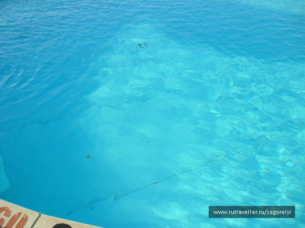 photo 44814