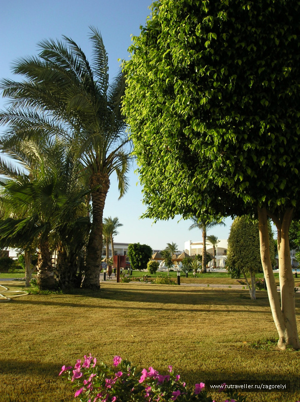 photo 44826