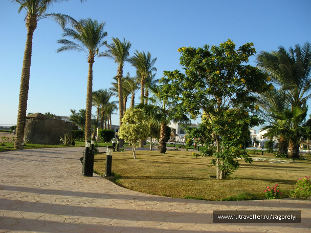 photo 44830