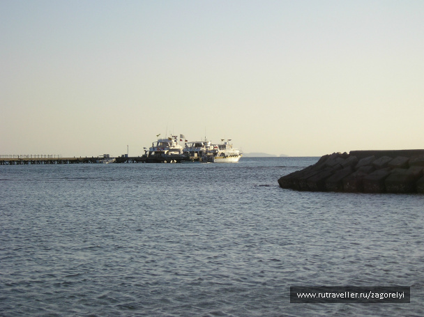 photo 44866