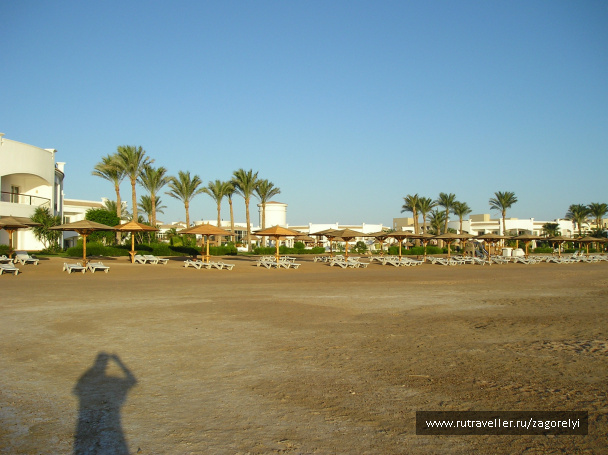 photo 44878
