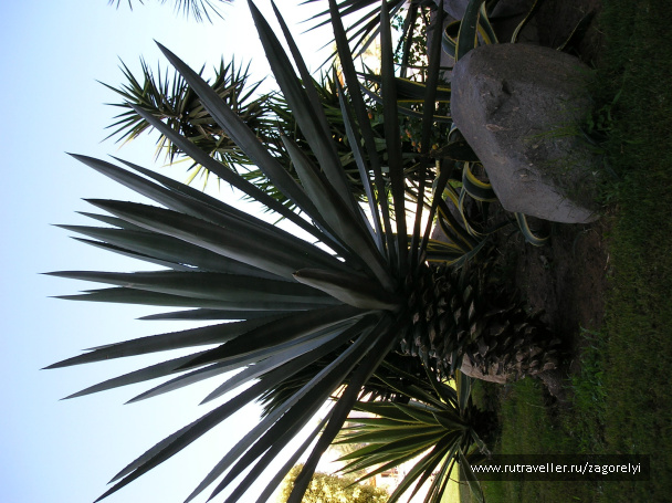 photo 44945
