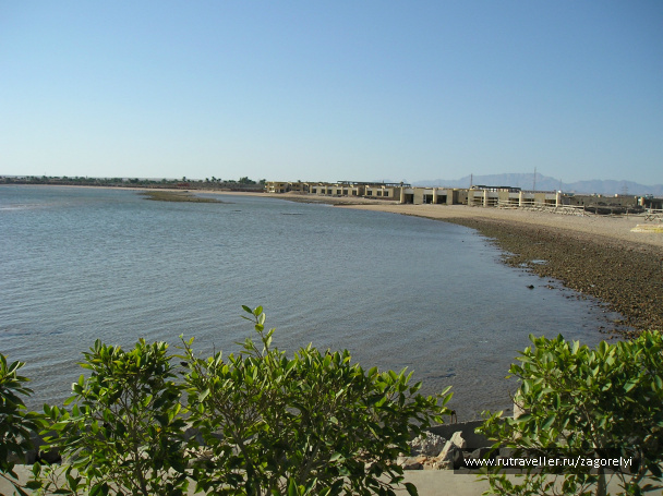 photo 45157