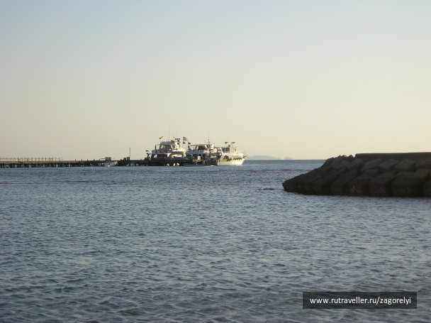 photo 45178