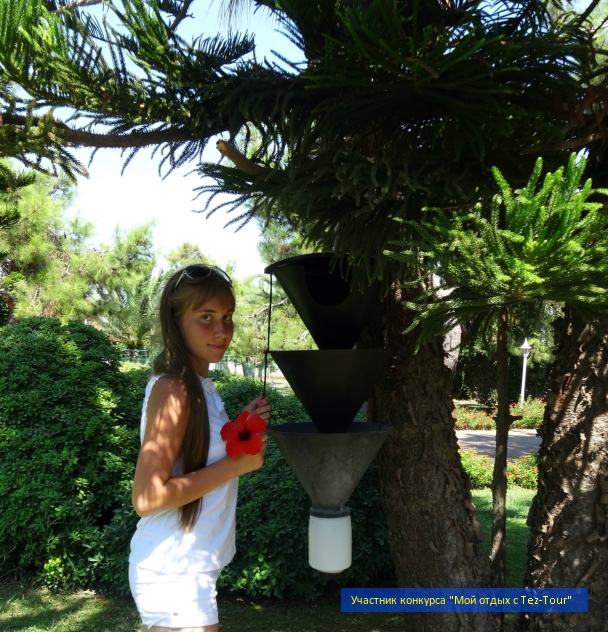 photo 791641