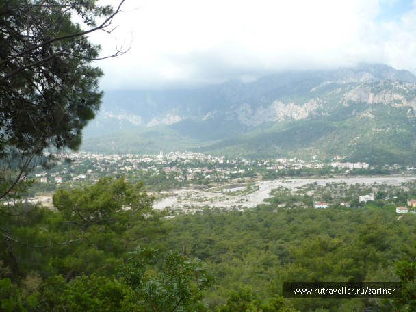photo 229972