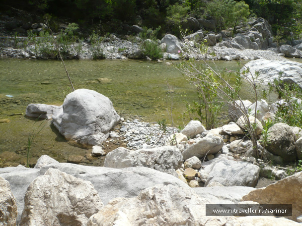 photo 236917