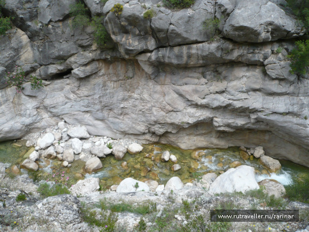 photo 236930
