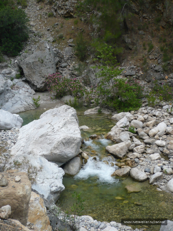 photo 236931