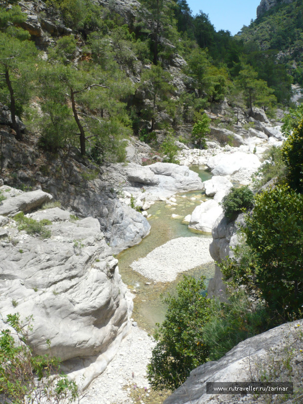 photo 236978