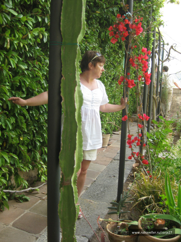 photo 127807