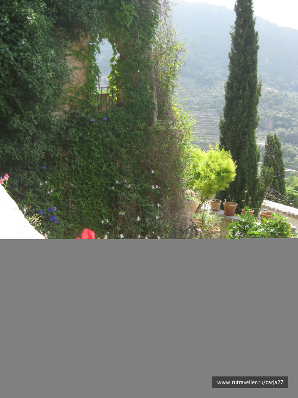 photo 127851