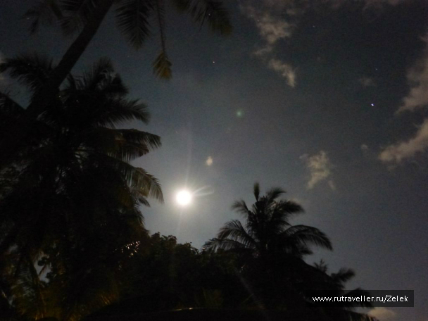 photo 1006246