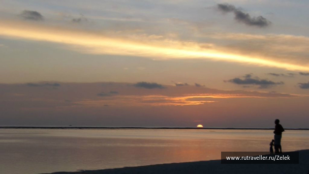 photo 1006364