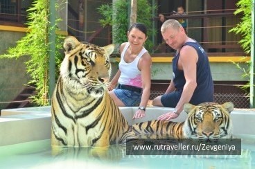 photo 1464318