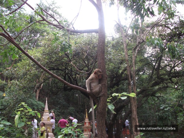 photo 12355